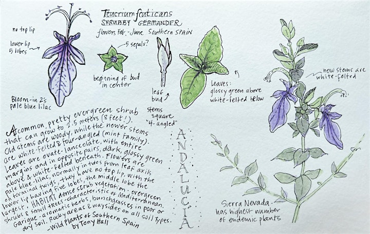 Native Plants to Design and Printmaking image
