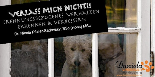 Imagem principal do evento Trennungsangst beim Hund!  Dr. Nicole Pfaller-Sadovsky, BSc(Hons) MSc