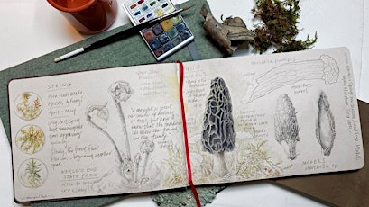 Designing a Fall Sketchbook tickets