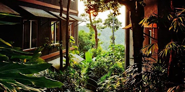 3D2N Langkawi Tropical Rainforest Yoga Retreat