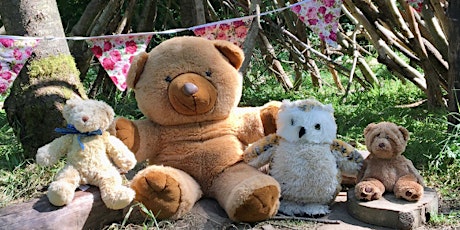 Teddy Bears Picnic at Brockholes