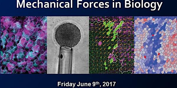 Mechanical Forces in Biology