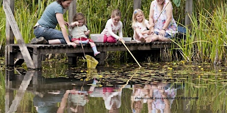 Pond Dipping at The Wolseley Centre tickets