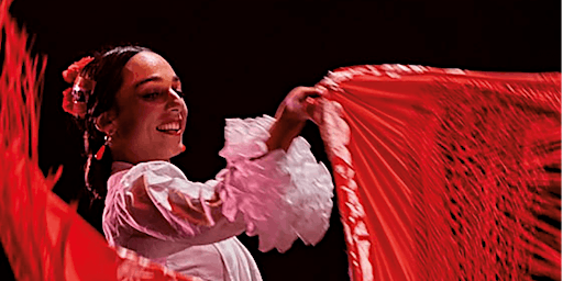 Exclusive Flamenco Dance Show