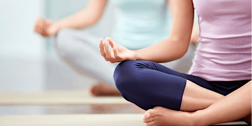 Primaire afbeelding van Private  or Small Group Yoga Class