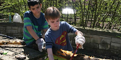 Debark Buckthorn for Art primary image