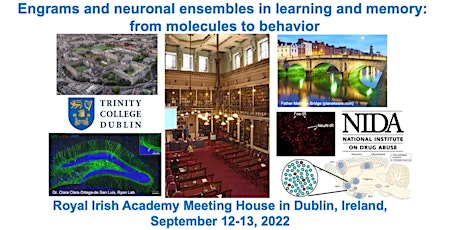 Engrams and ensembles in learning and memory: from molecules to behavior tickets