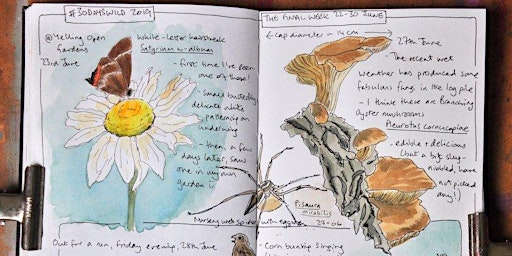 Nature Journaling with Sharon -31st October 22