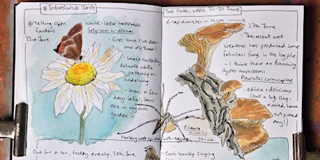 Nature Journaling with Sharon -28th November 22 tickets