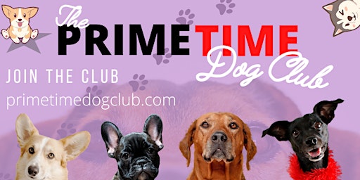 PrimeTime Dog Club Launch Party
