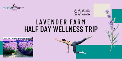 Lavender Farm Half Day Wellness Retreat