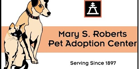 Mary S. Roberts Pet Adoption Center- Paw Pals- Tortoises  primary image