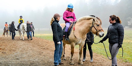 Volunteer Training - Horse Handler