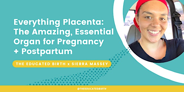 Everything Placenta: The Amazing, Essential Organ for Pregnancy +Postpartum
