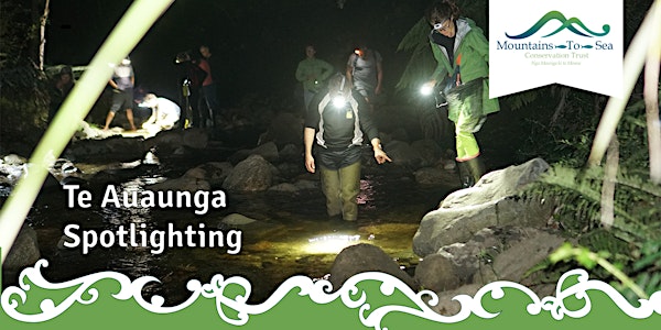 Te Auaunga Spotlighting
