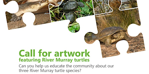 CALL FOR ARTWORK - River Murray turtles