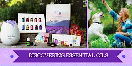 Healthier Home, Healthier Life with Essential Oils  primary image