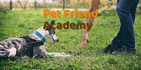 Pet Friend Academy: Hersenwerk tickets