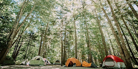 Camping: The Maine Highlands primary image
