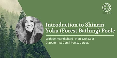 Introduction to Shinrin Yoku (Forset Bathing) - Poole