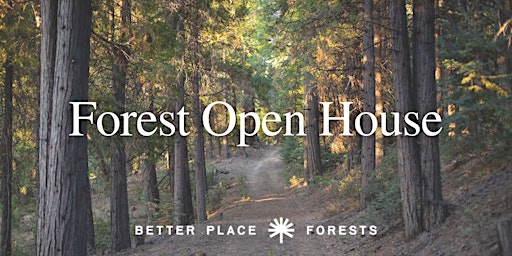 Lake Arrowhead Forest Open House