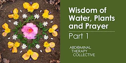 Hauptbild für Wisdom 1- The Wisdom of Water, Plants and Prayer 1