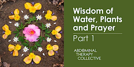 Wisdom 1- The Wisdom of Water, Plants and Prayer 1