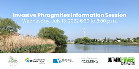 Invasive Phragmites Information Session tickets