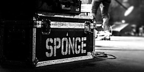 Sponge Headlines The Vortex