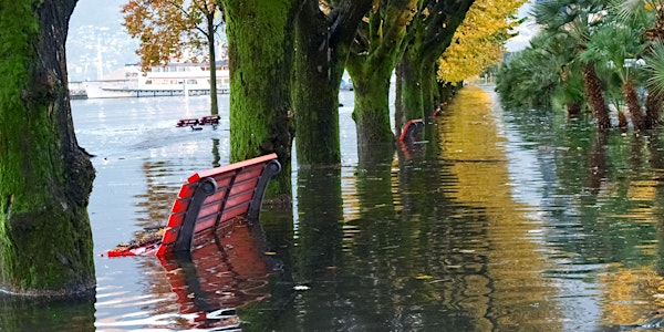 Climate Adaptation – Creating Flood Resilient Urban Areas