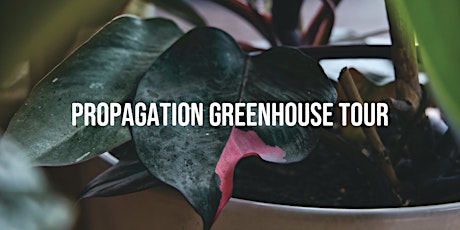 Propagation Greenhouse Tour