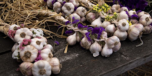 Garlic Fest