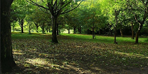Group Walk: Evington  Park to Shady Lane Arboretum