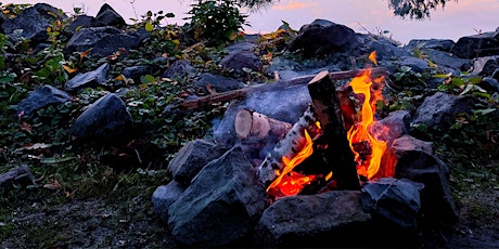 Bonfire and Bushtucker primary image