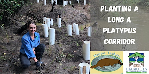 Platypus Landcare - Riverbank Restoration