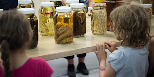 Children's Tour  |  Natural Science Collection
