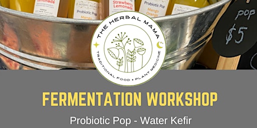Fermentation Workshop - Water Kefir POP
