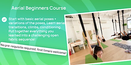 Aerial Beginners Course tickets