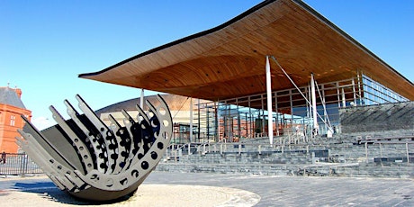 Q & A with Chair of the Senedd Petitions Committee Jack Sargeant MS tickets