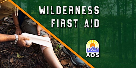 Wilderness First Aid (Online)