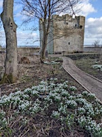 Cresswell Pele Tower & Walled Garden - From Reivers and Ruin to Restoration