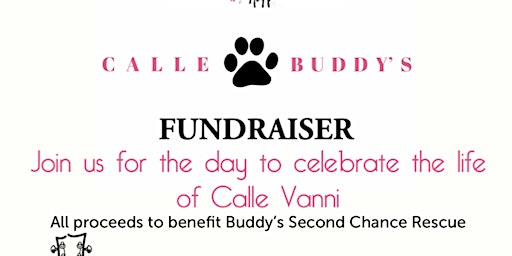 Calle for Buddy's Fundraiser