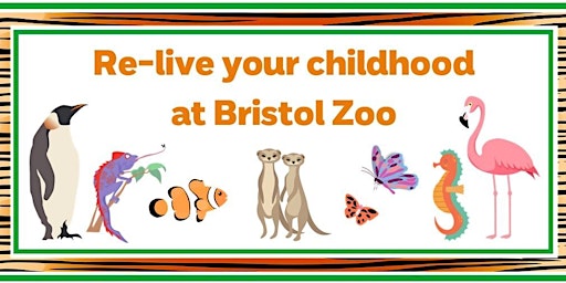 Relive your childhood at Bristol Zoo