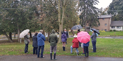 Imagen principal de Trees In My Neighbourhood | Guided Tour of Mount Hope Neighbourhood