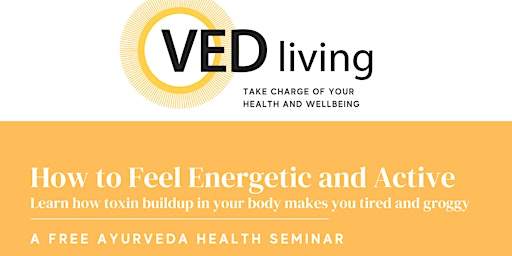 Free Seminar: How to Feel Energetic and Active