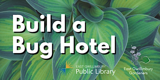 Build a Bug Hotel - Holland Landing