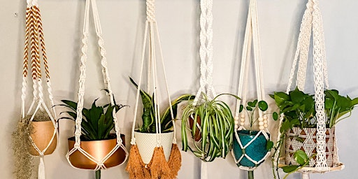 Plant Hanger Workshop