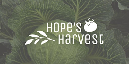 Gleaning with Hope's Harvest Friday, July 1st 10:00AM-12:00PM