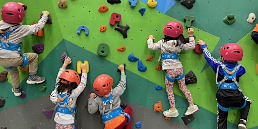 Spiderman's Summer Mandarin Camp: Rock-Climbing