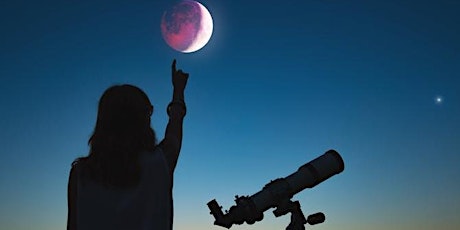Osservazione della Luna e del cielo estivo biglietti
